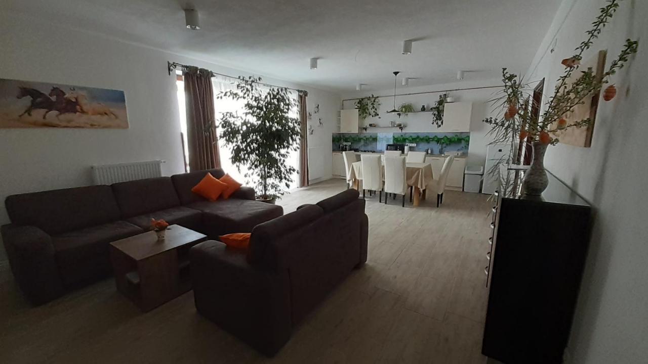 Bibic Apartman A Kapolnasnyek Extérieur photo